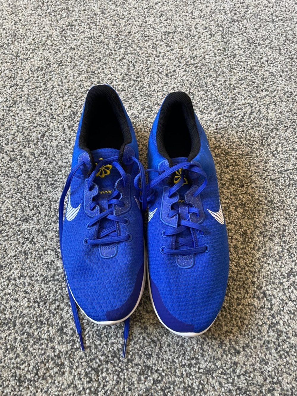 Men’s Nike Flex Royal Blue Shoe. Never worn!! Size 12